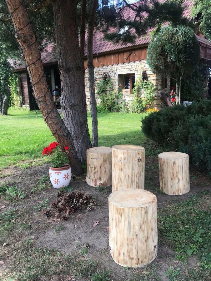 Vidiecky Dom Alexsandra - Ubytovanie V Sukromi Liptovska Ondrasova Esterno foto