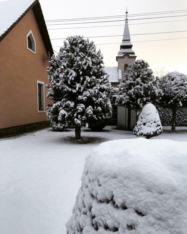Vidiecky Dom Alexsandra - Ubytovanie V Sukromi Liptovska Ondrasova Esterno foto